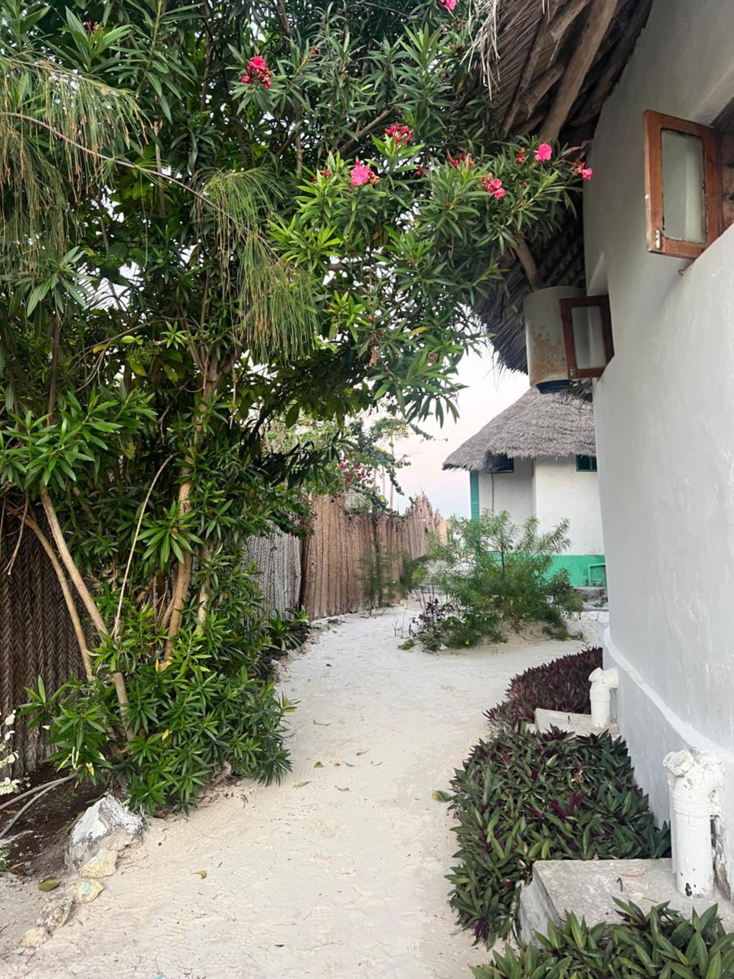 Duara Beach House Hotel Paje Luaran gambar